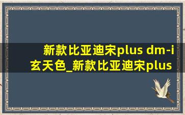 新款比亚迪宋plus dm-i玄天色_新款比亚迪宋plus dm-i(低价烟批发网)版